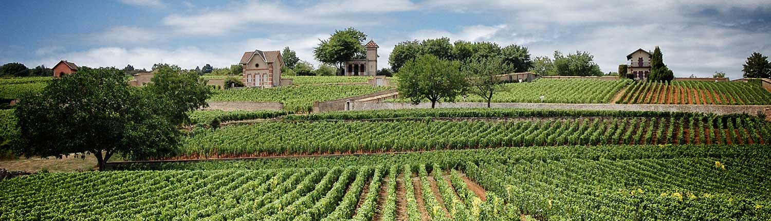 Cote de Beaune