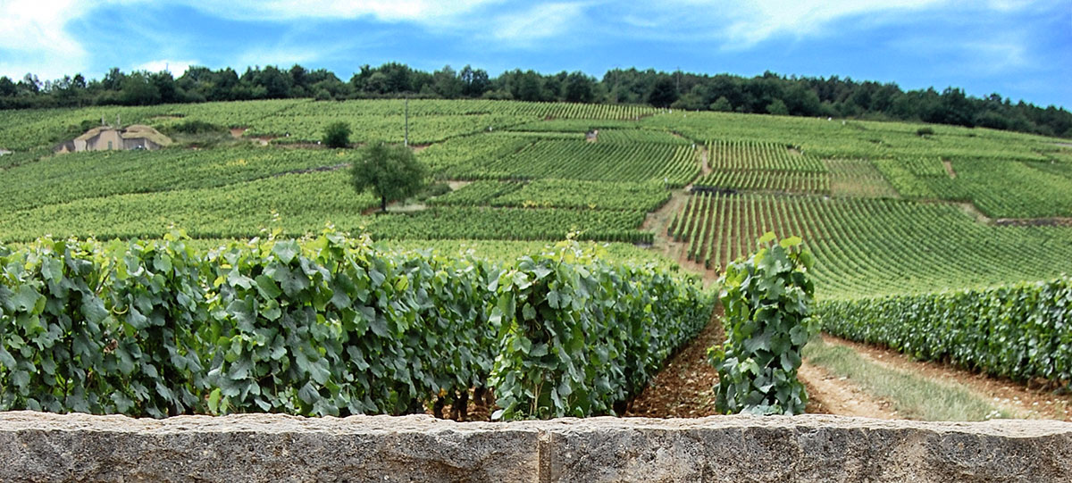 Cote de Nuits / Romanee Conti