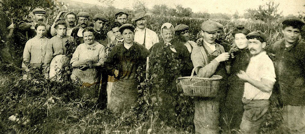 Les Vendages during the Great War