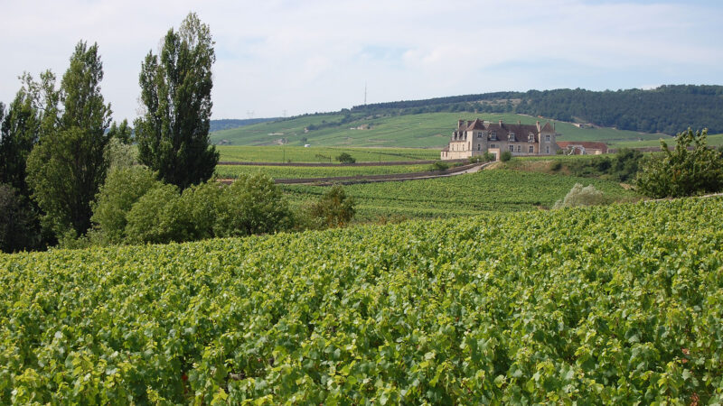 Clos de Vougeot — Burgundy, France