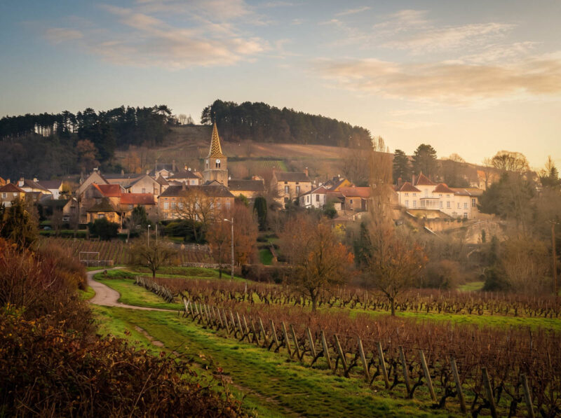 Pernand-Vergelesses in late fall