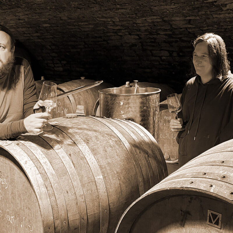 Le Grappin in the Cellar at their winery in the Hautes-Côtes de Beaune