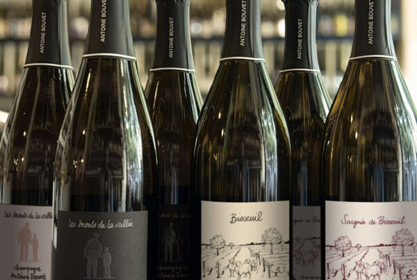 Champagne Antoine Bouvet Fall 2025