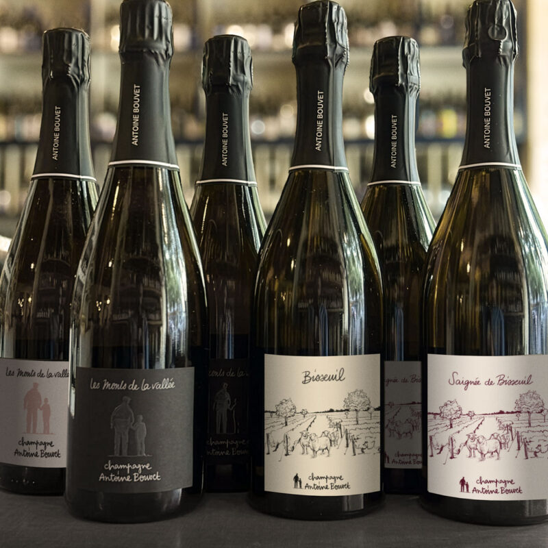 Champagne Antoine Bouvet Fall 2025