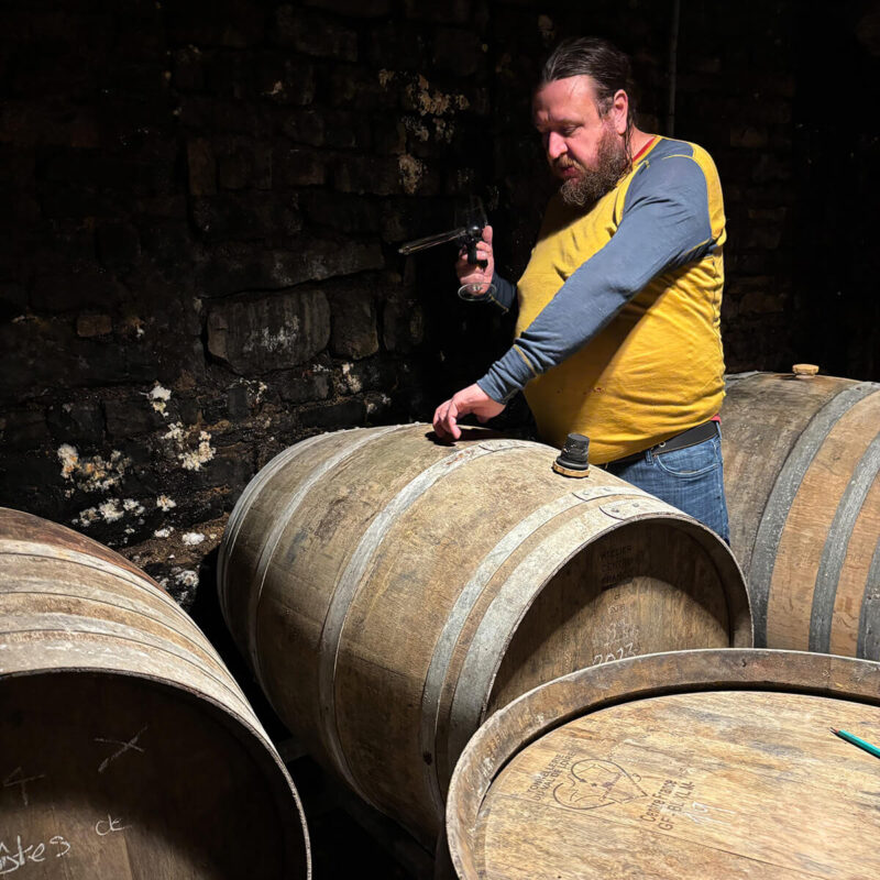 Tasting with Andrew in the Cellar