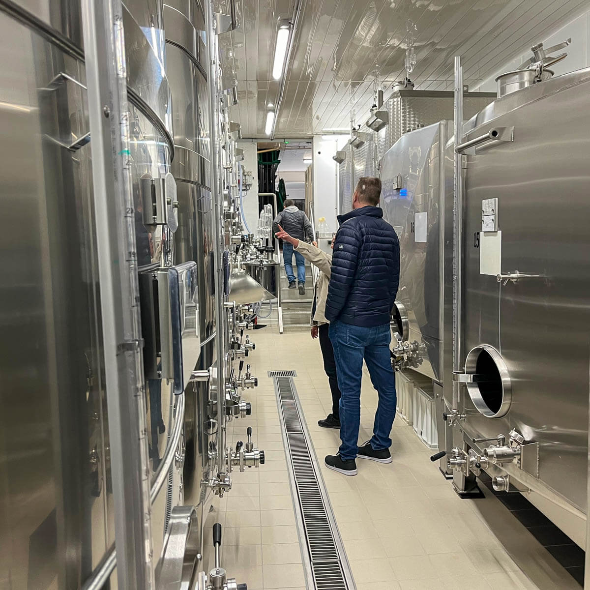 Stainless steel vinification tanks at Champagne Pascal Lejeune — Moussy