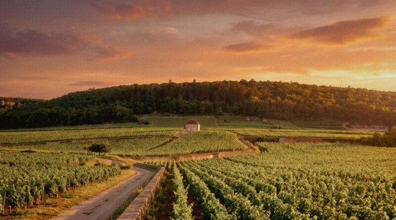 Gevrey-Chambertin — Côte de Nuits, Burgundy