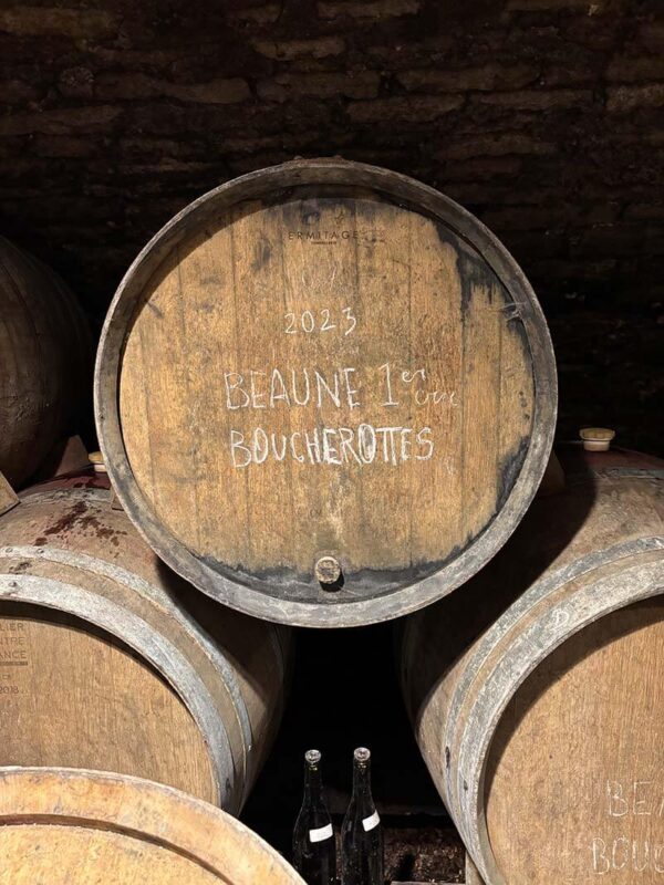 eaune Premier Cru 'Boucherottes' Rouge in Barrel
